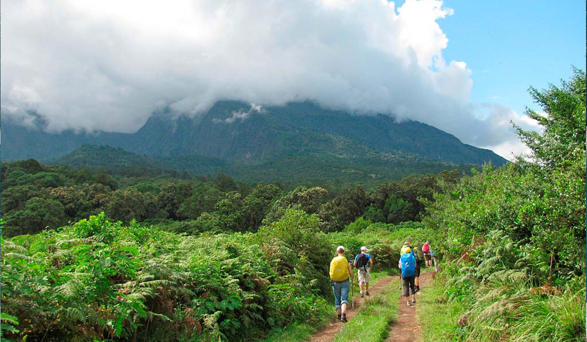 4 Days Mount Meru Trekking Trip in ,2026 &  From Moshi or Arusha 